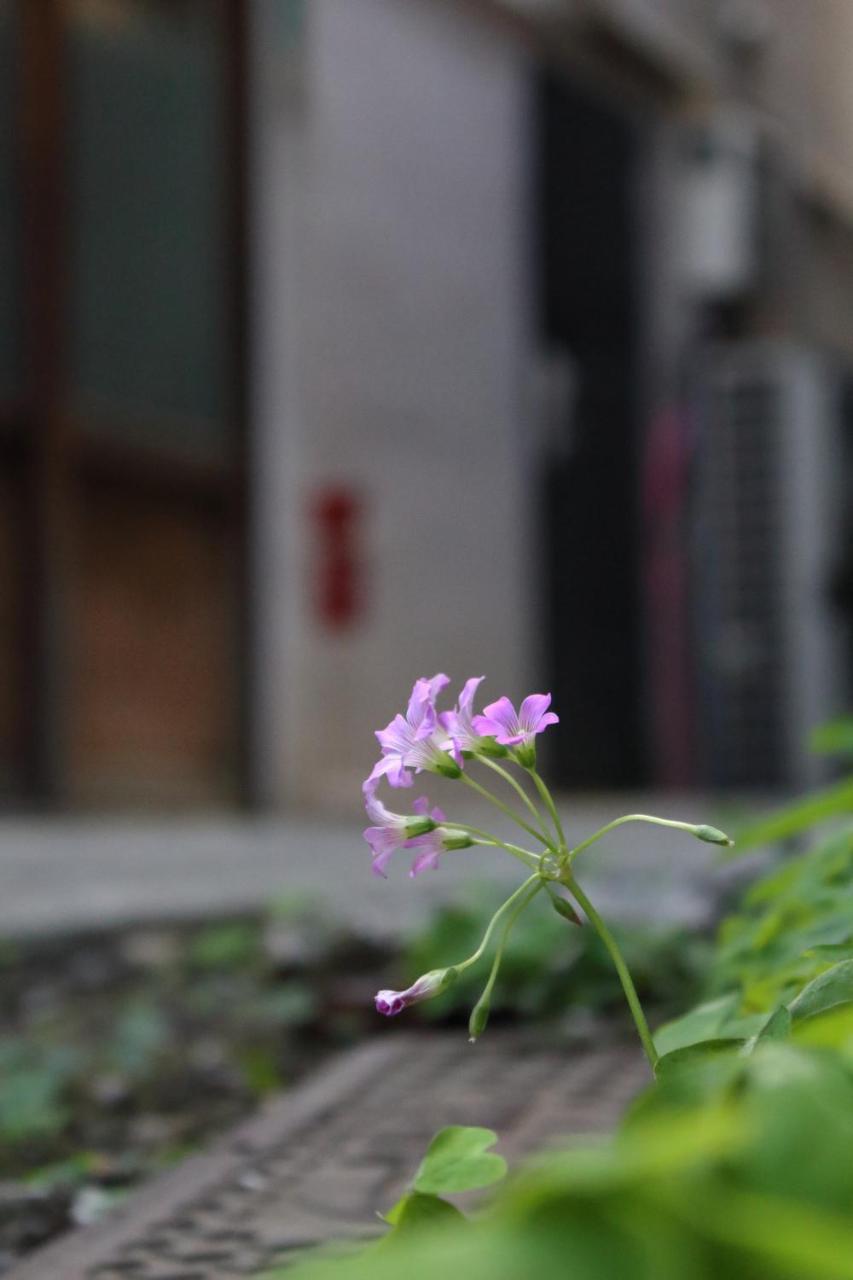 Chiyoda Inn Tokyo prefektur Exteriör bild
